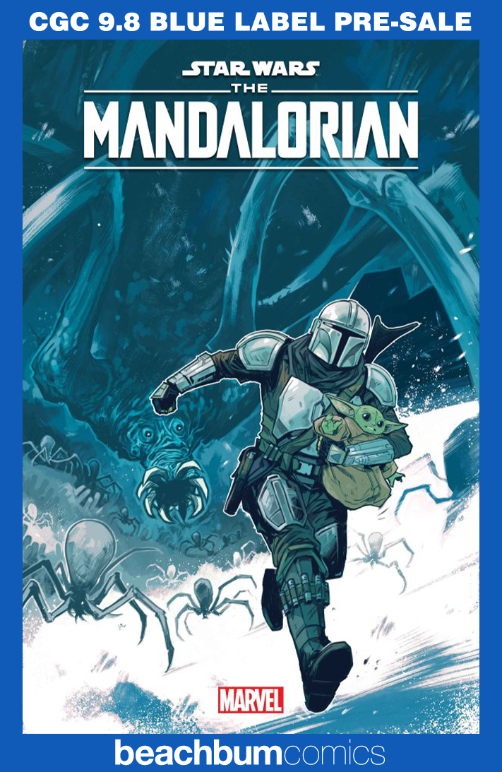 Star Wars: The Mandalorian Season 2 #2 Wijngaard 1:25 Retailer Incentive Variant CGC 9.8
