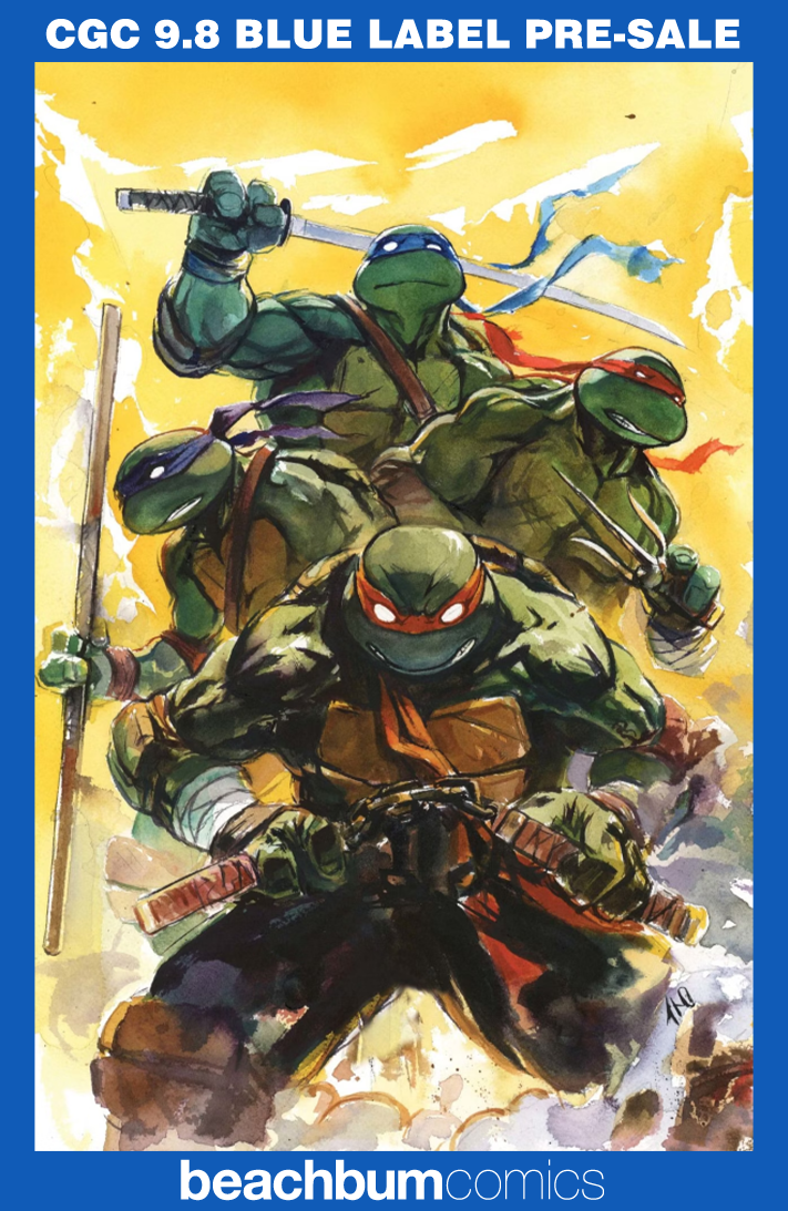 Teenage Mutant Ninja Turtles #20 (#300) Ito Blind Bag Variant CGC 9.8 (RARE)