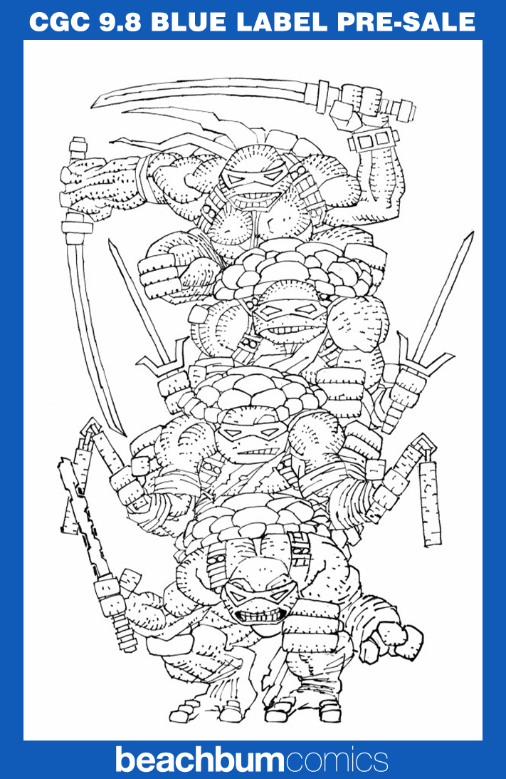 Teenage Mutant Ninja Turtles #20 (#300) Miller 1:300 Black & White Virgin Retailer Incentive Variant CGC 9.8